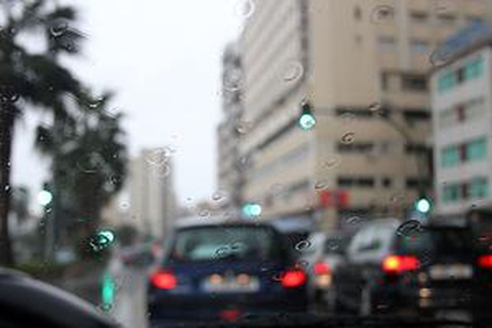 Foto: Fran Montes/Paco Guerrero