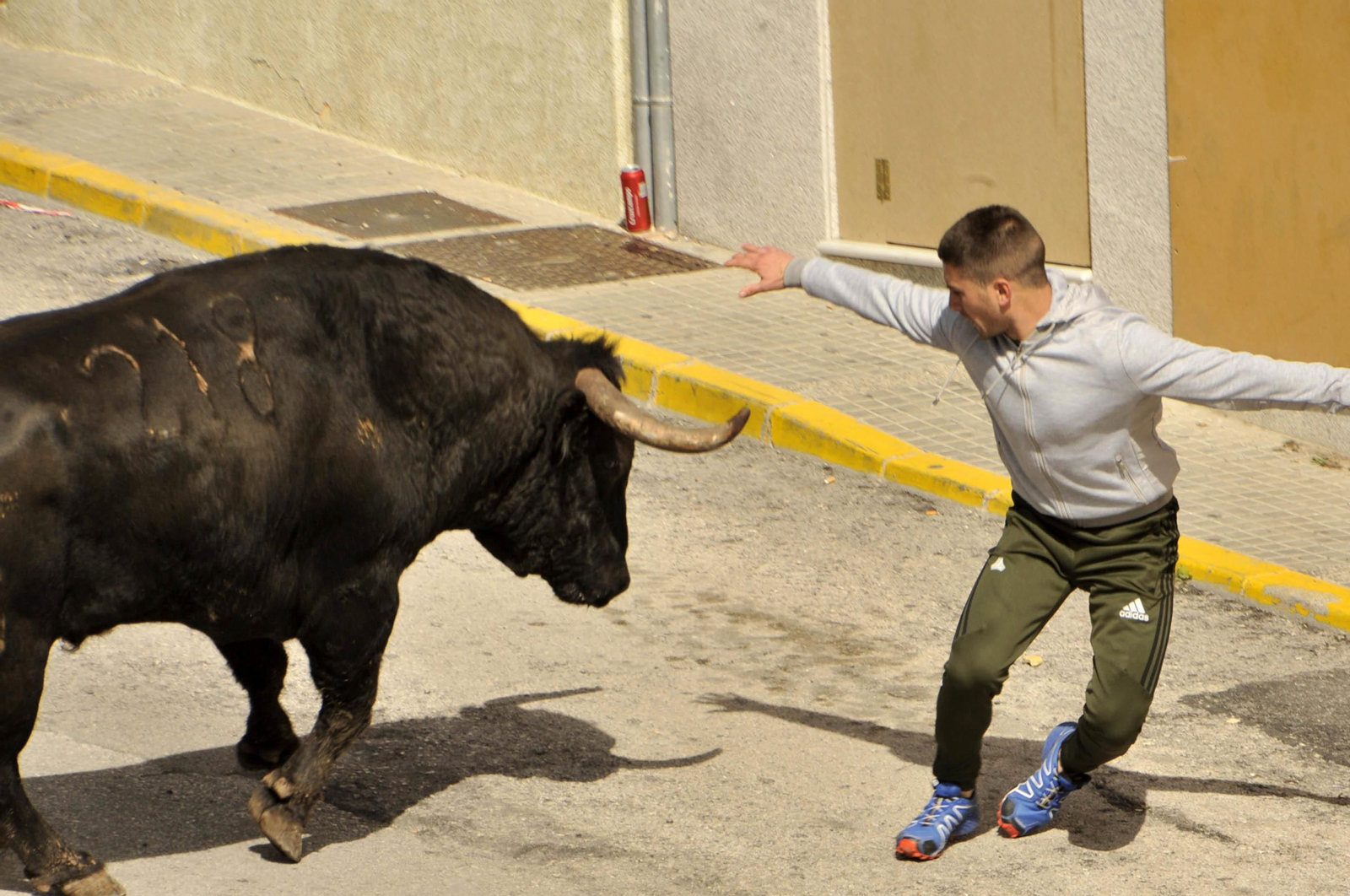 Imágenes del Toro del Aleluya en Arcos