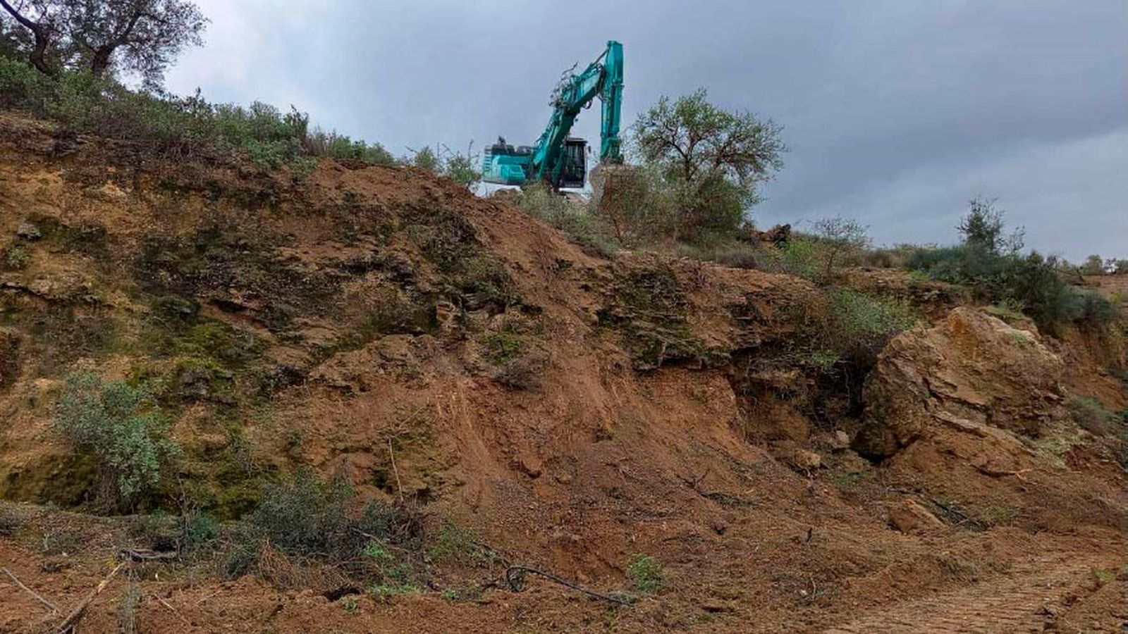 Desmonte y destoconado en el Cerro de los Limones
