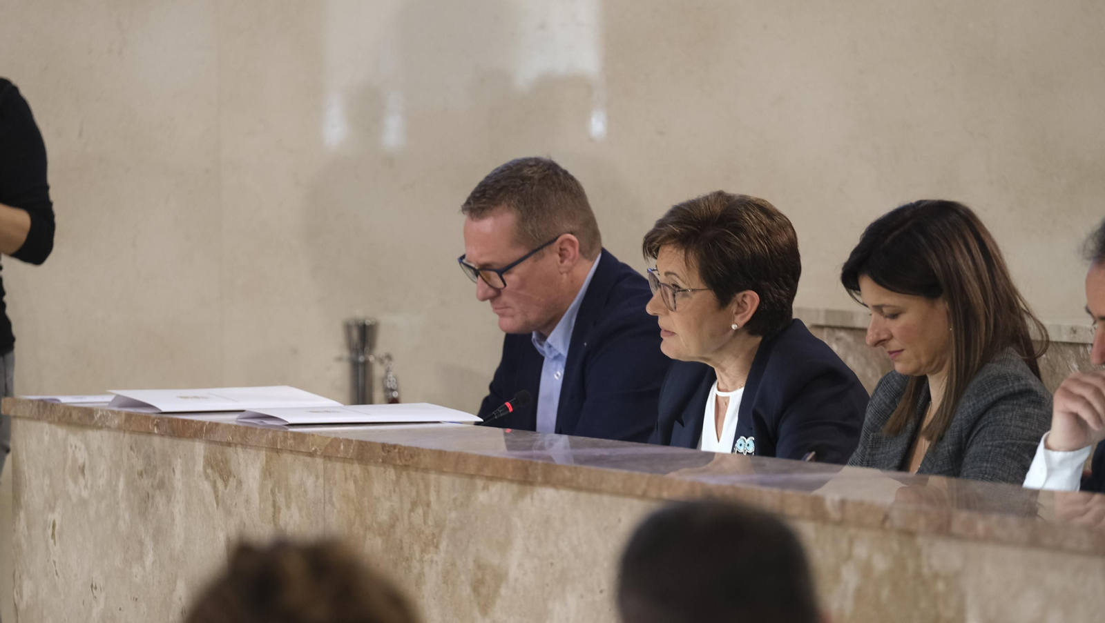 Imágenes del pleno ordinario del Ayuntamiento de Almería