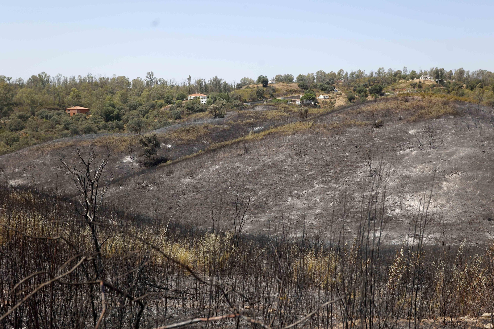Los efectos del incendio en el Ronquillo en imágenes