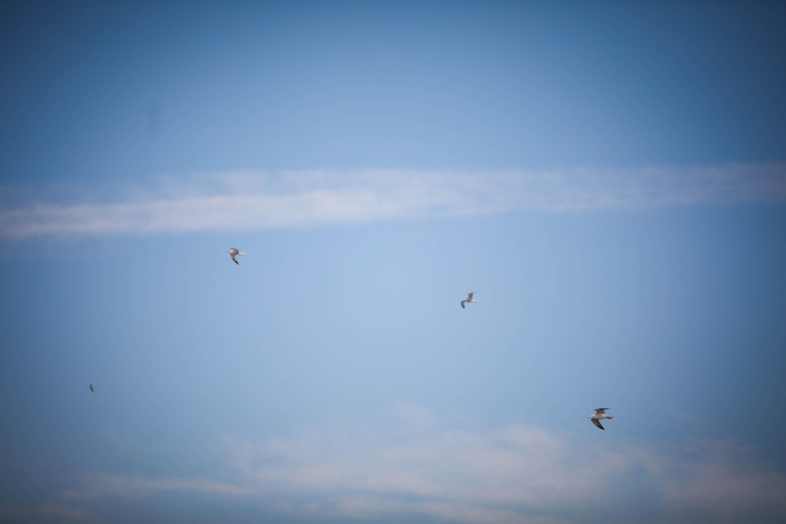 Imágenes del temporal de viento en Almería