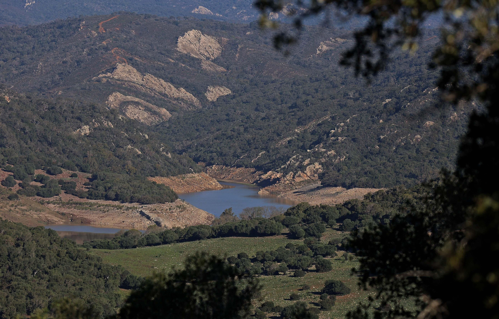 Imágenes del estado actual de los pantanos del Campo de Gibraltar