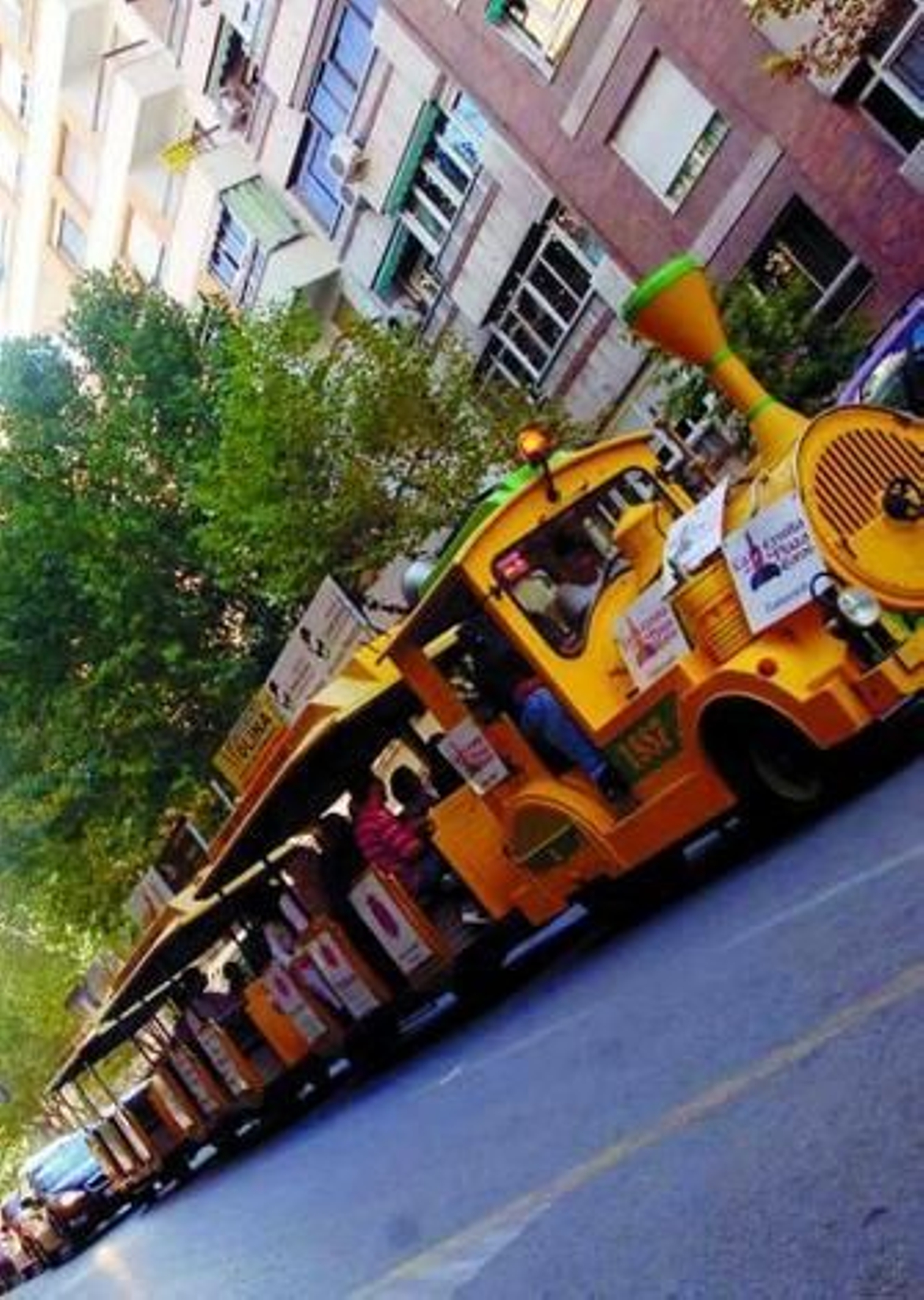 Un tren para mayores y pequeños.