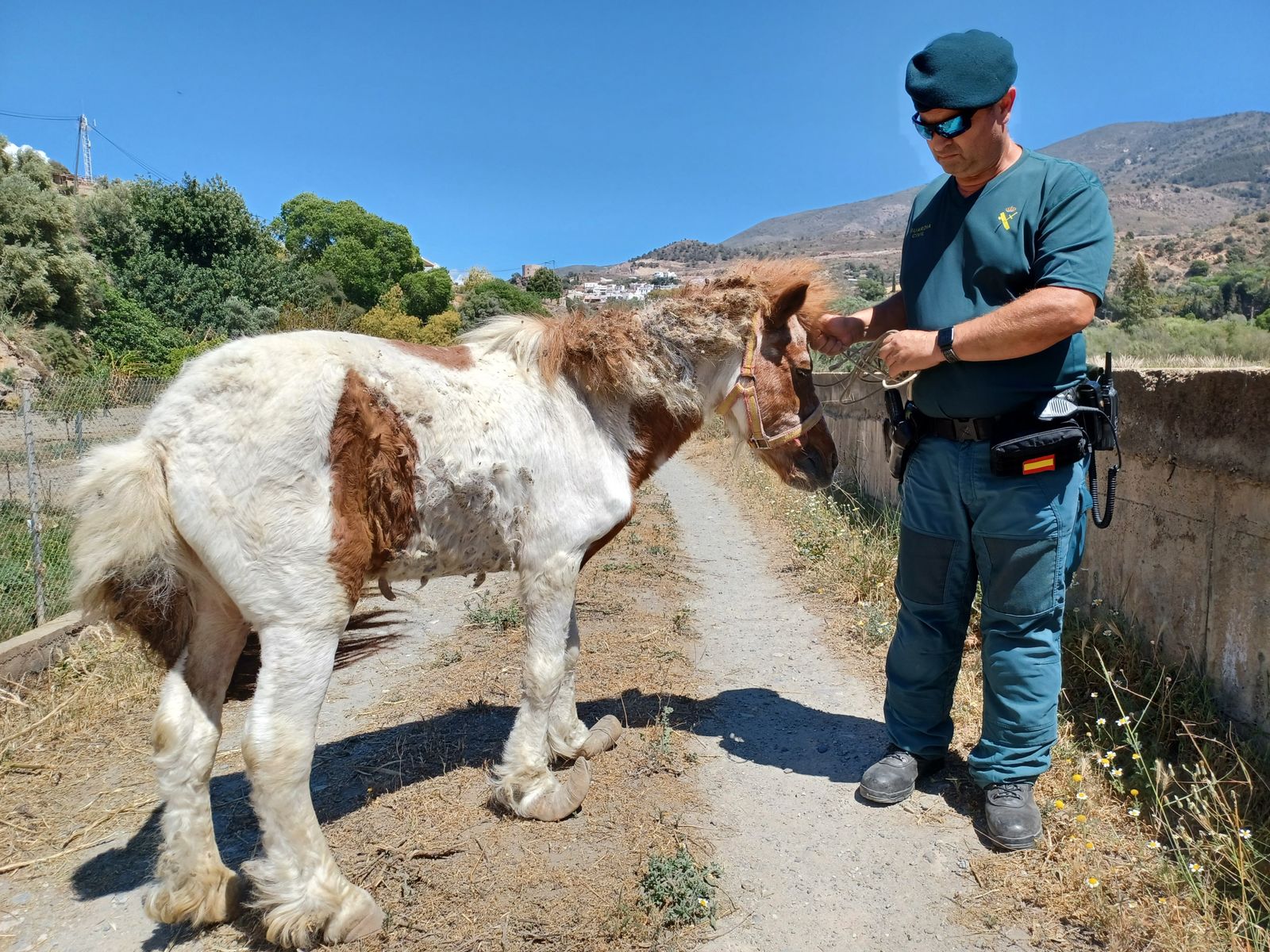 Imagen de archivo del agente del Seprona de la Guardia Civil que rescató al animal