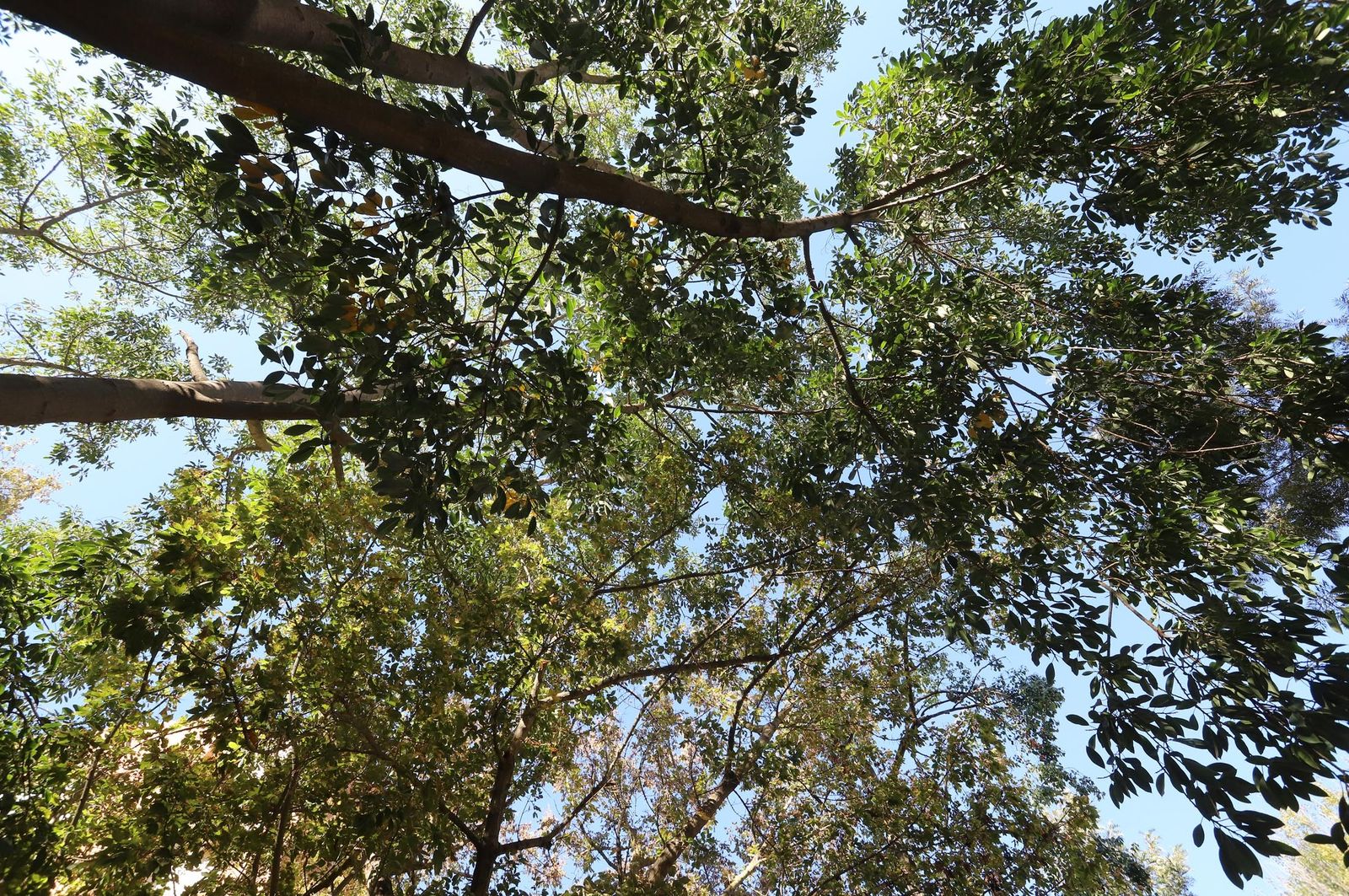 Barrio a barrio: Imágenes de Santa Marta