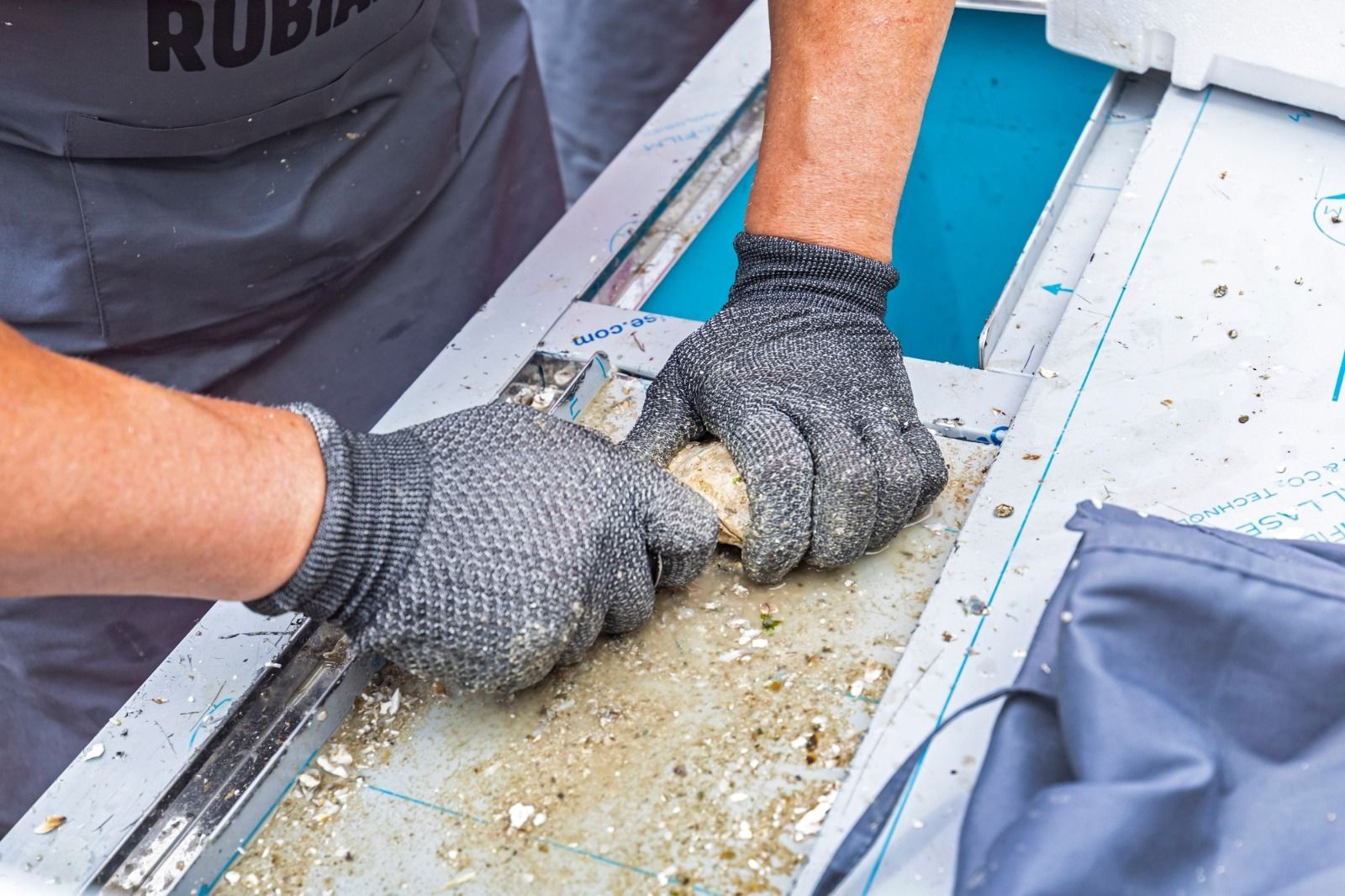 En imágenes: La ostionada regresa a San Antonio