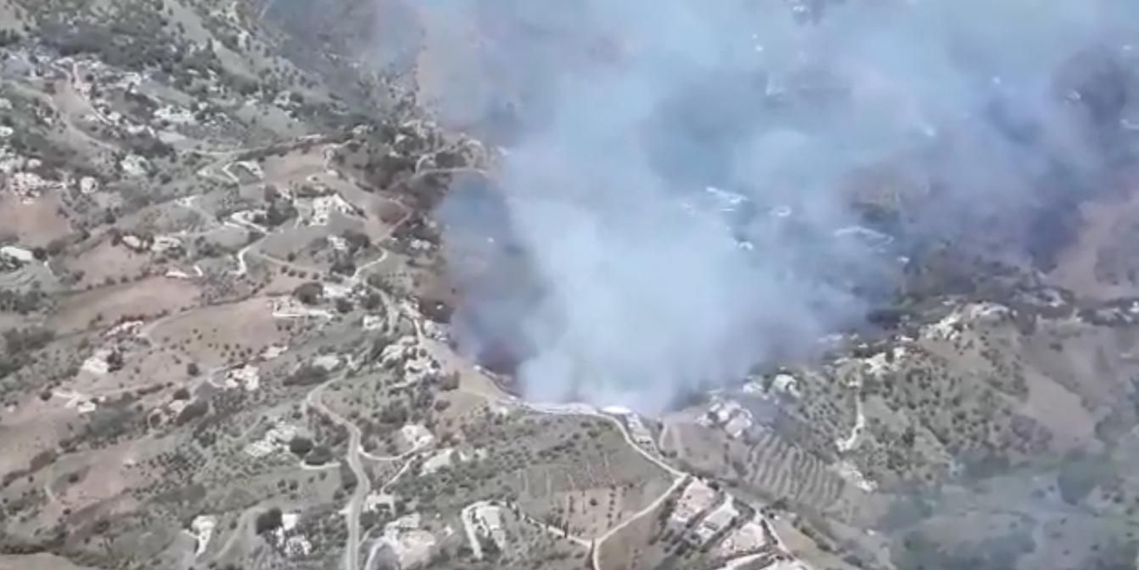 Efectivos del Infoca trabajan contra un incendio forestal en Torrox