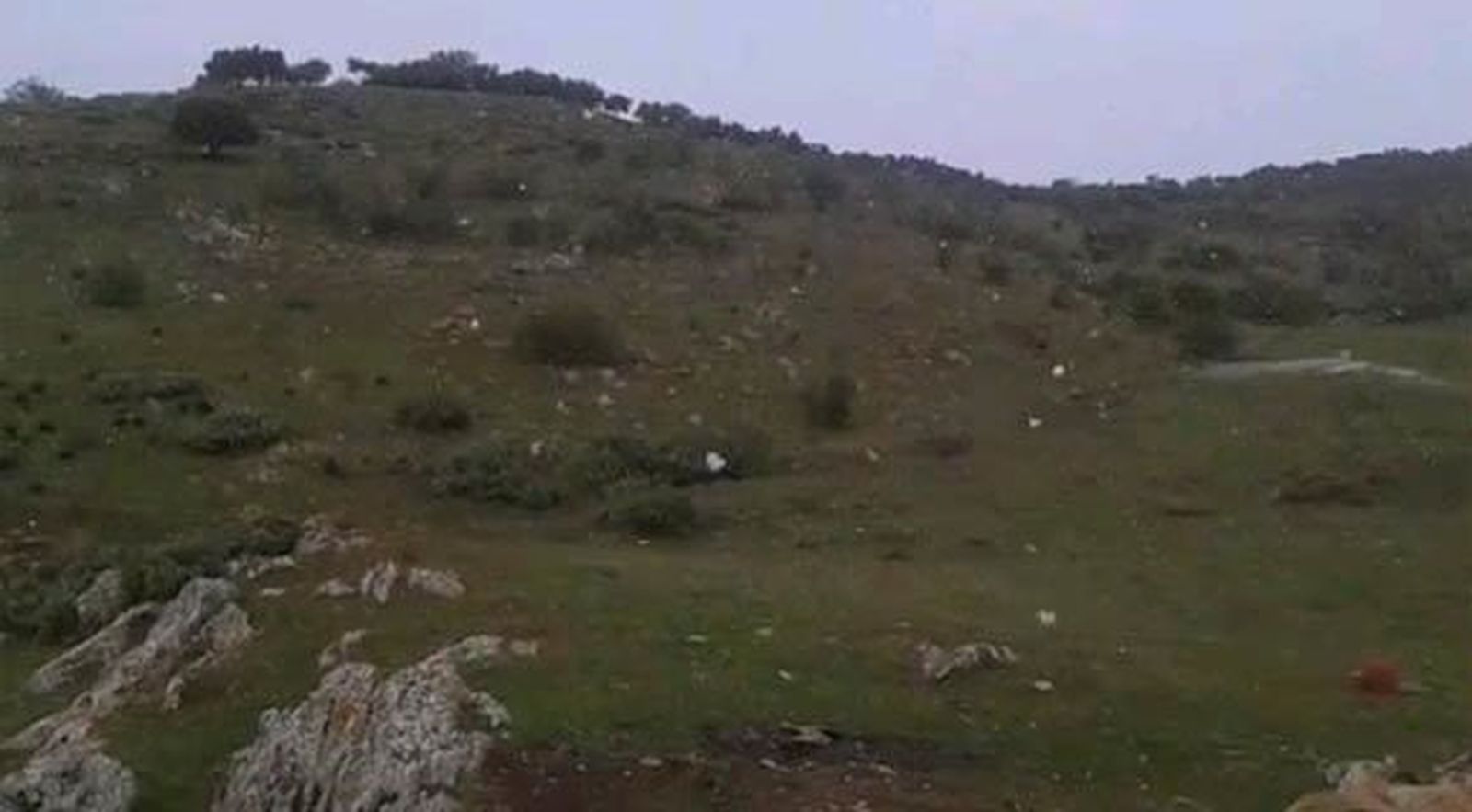 La primera nevada en dos años en la Sierra Norte no llega a cuajar