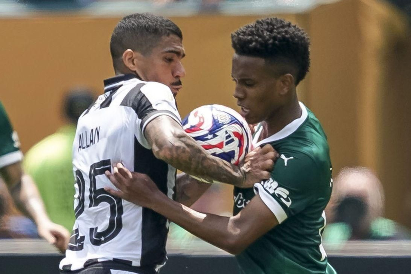 Palmeiras-Botafogo (14).jpg