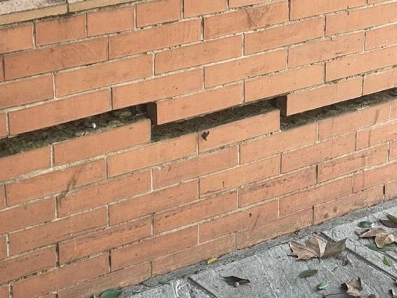 Las grietas del cerramiento de los Jardines del Prado en Diego de Riaño