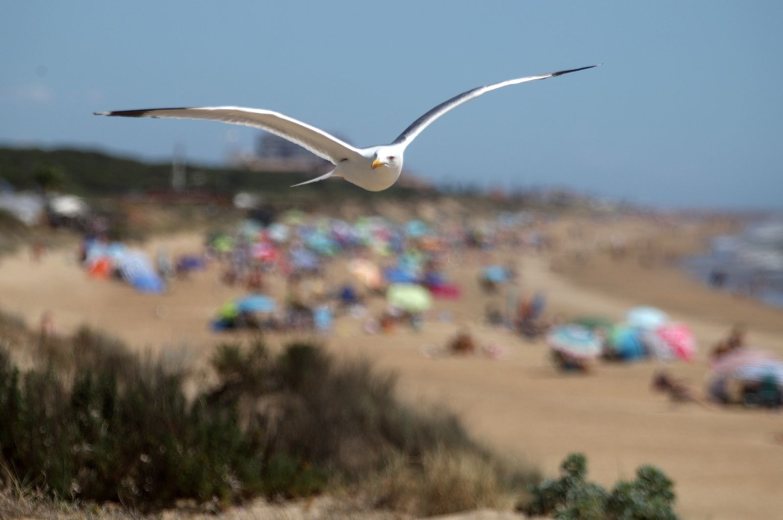 Imágenes de ambiente en la playa en la tarde del sábado