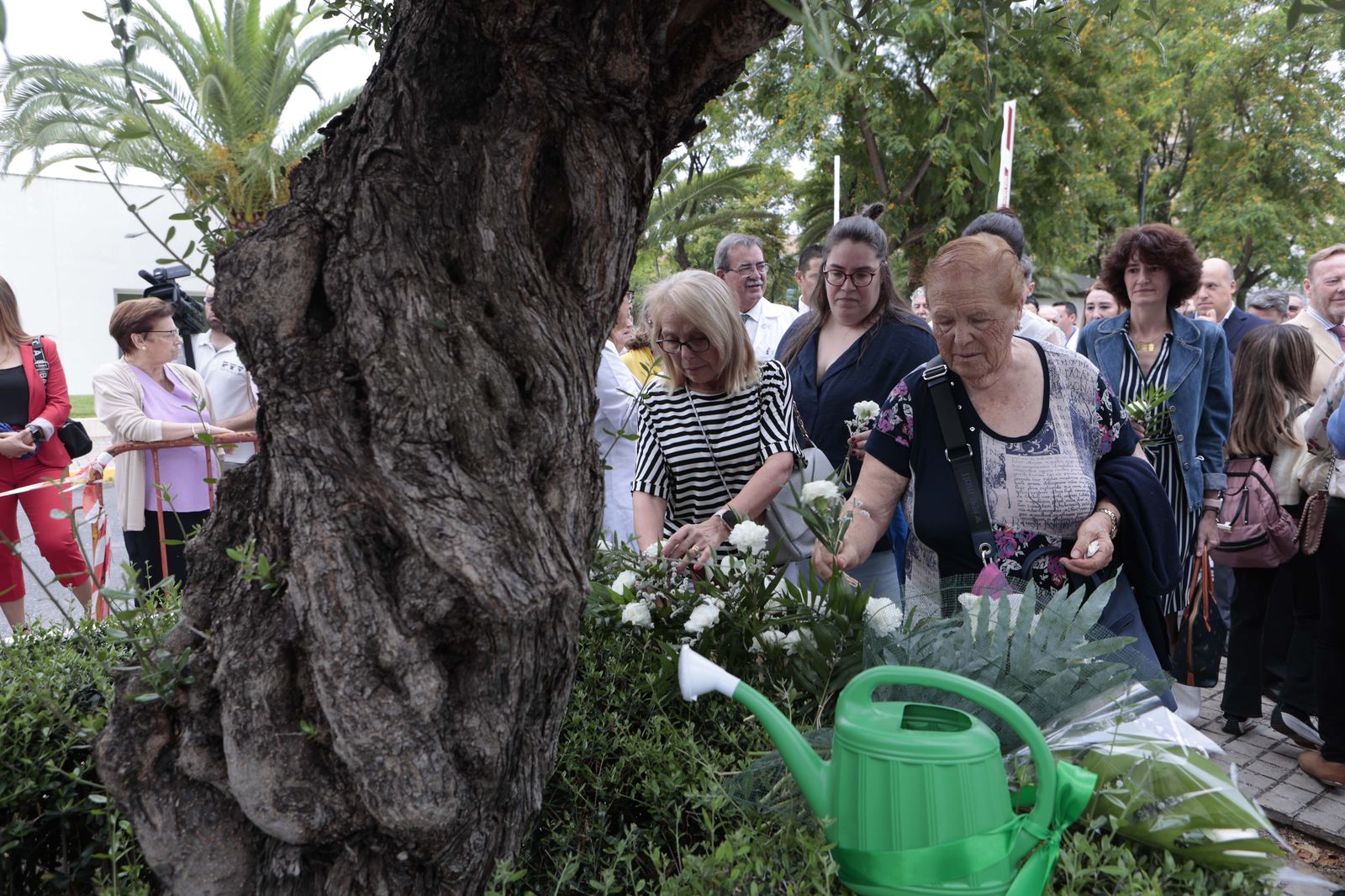 Día Nacional del Donante de órganos