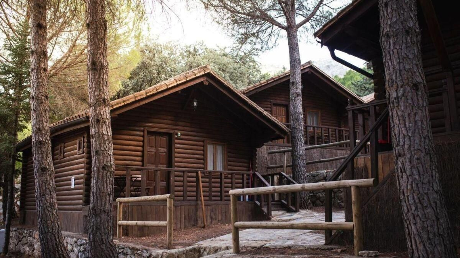 Camping Tajo Rodillo