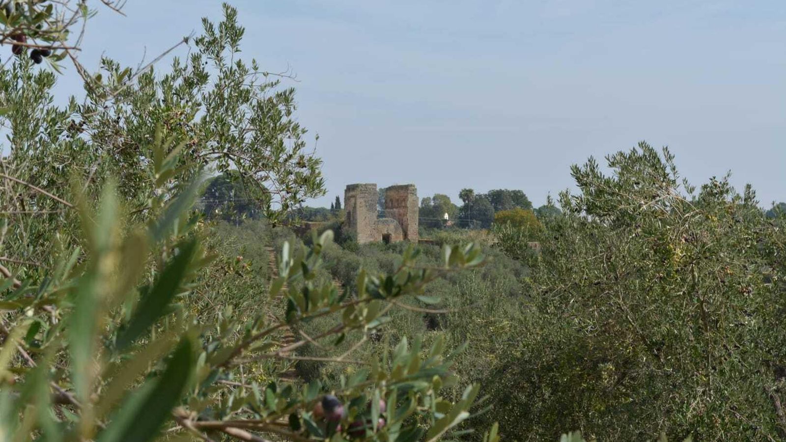 Restos del convento de Santa Eulalia en Marchena, en la lista desde el 27 de septiembre de 2019.