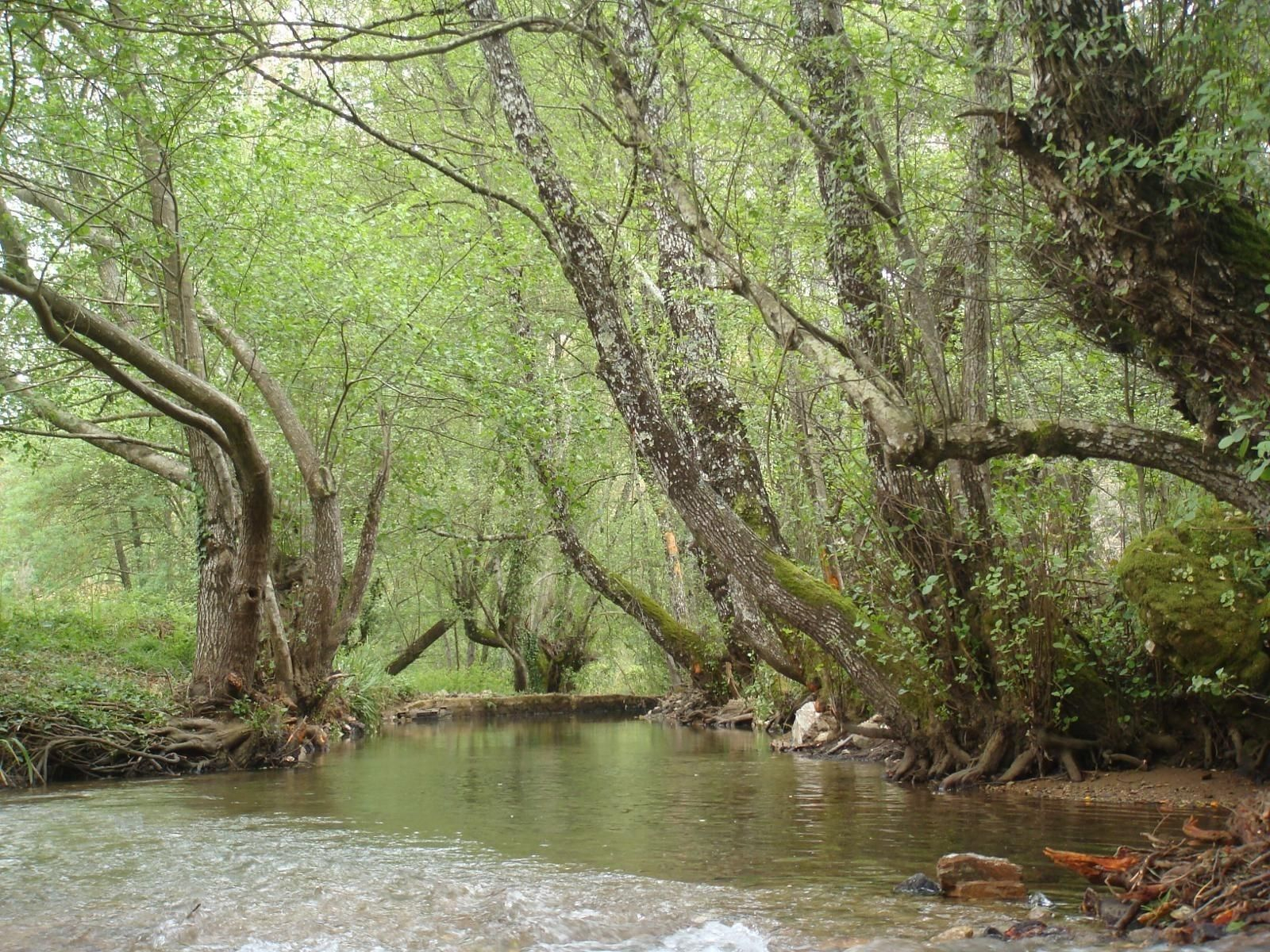 Este sendero de Huelva es de los más bonitos de España Este sendero de Huelva es de los más bonitos de España