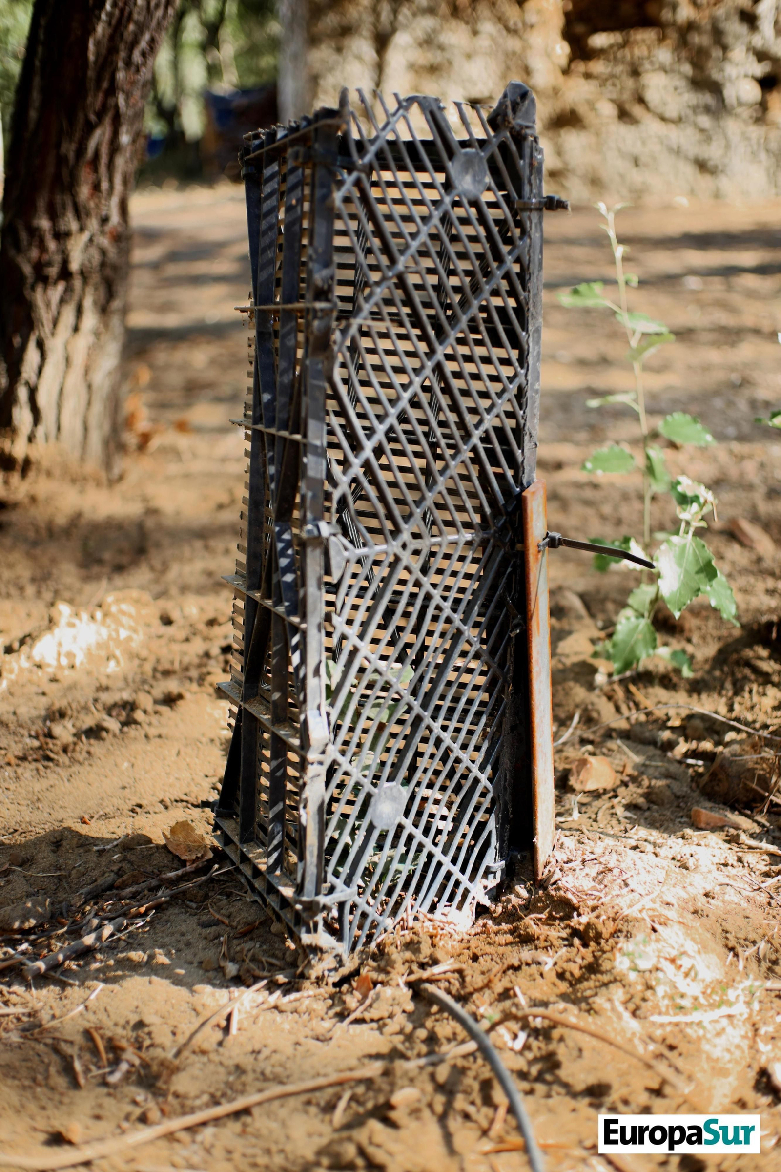 Fotografías de 'El último bosque', por David Coronado