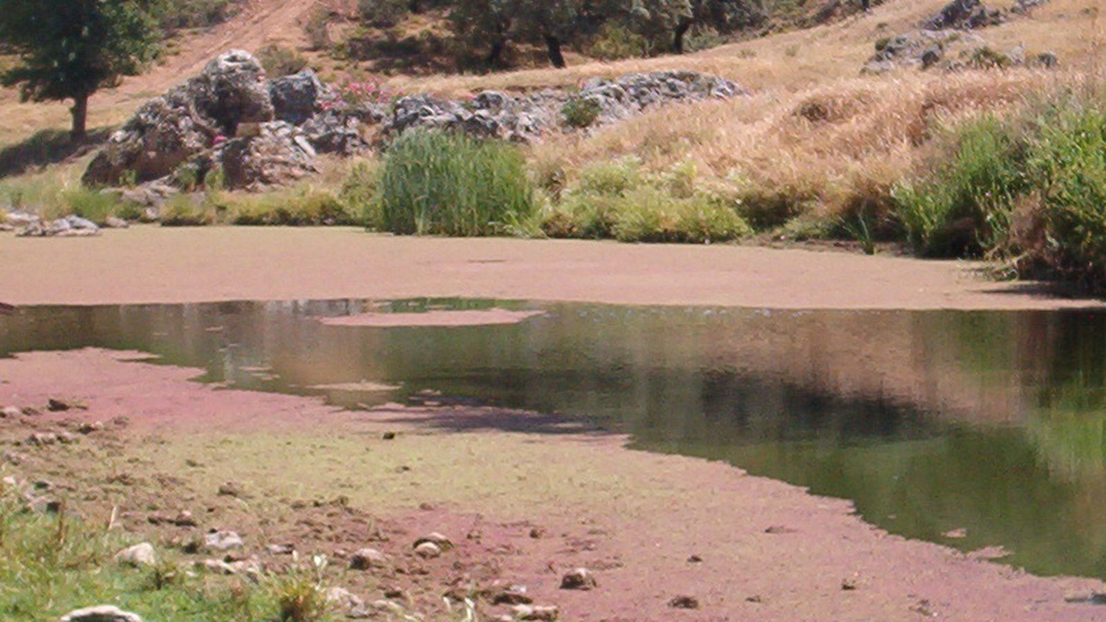 El estado del río Ribera del Cala.