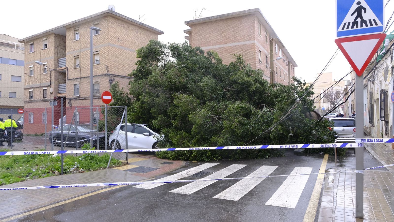 La Borrasca Leonardo se ensaña con Almería, en imágenes