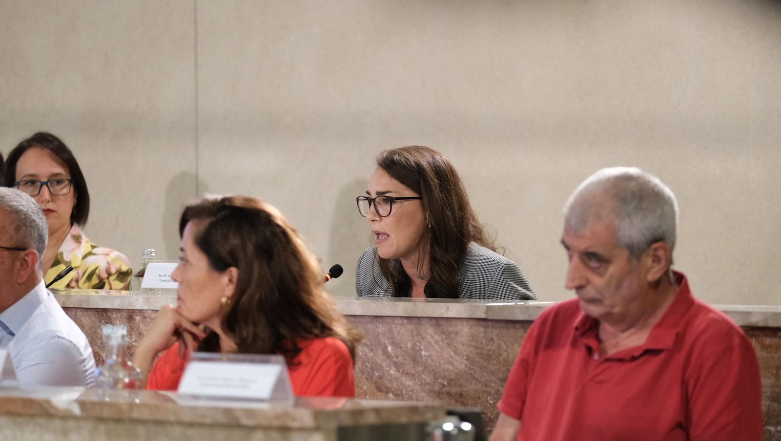 Imágenes del pleno del Ayuntamiento de Almería