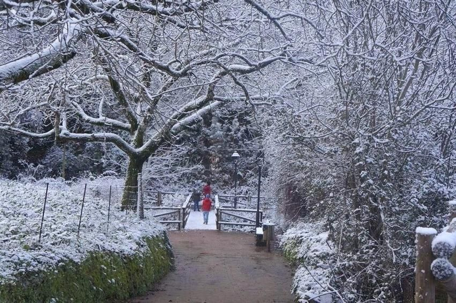 Así de nevada despertaba la Sierra de Aracena con el paso de la borrasca 'Filomena'