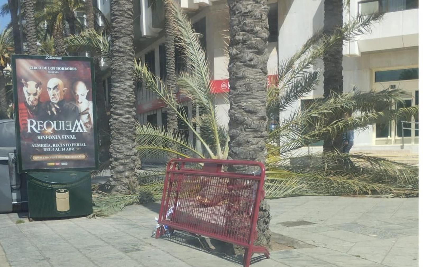 Una palmera cae la Rambla Federico García Lorca y un semáforo en Puerta Purchena Una palmera cae la Rambla Federico García Lorca y un semáforo en Puerta Purchena