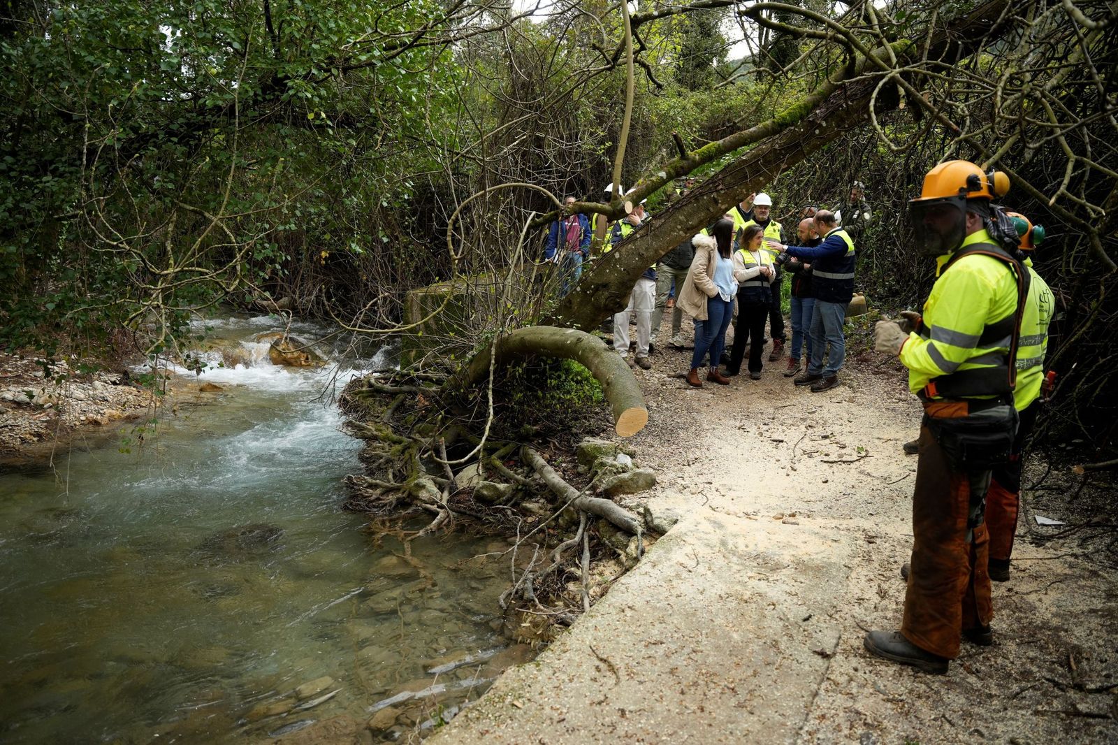 Personal técnico y representantes de Junta y Ayuntamientos, en el sendero.