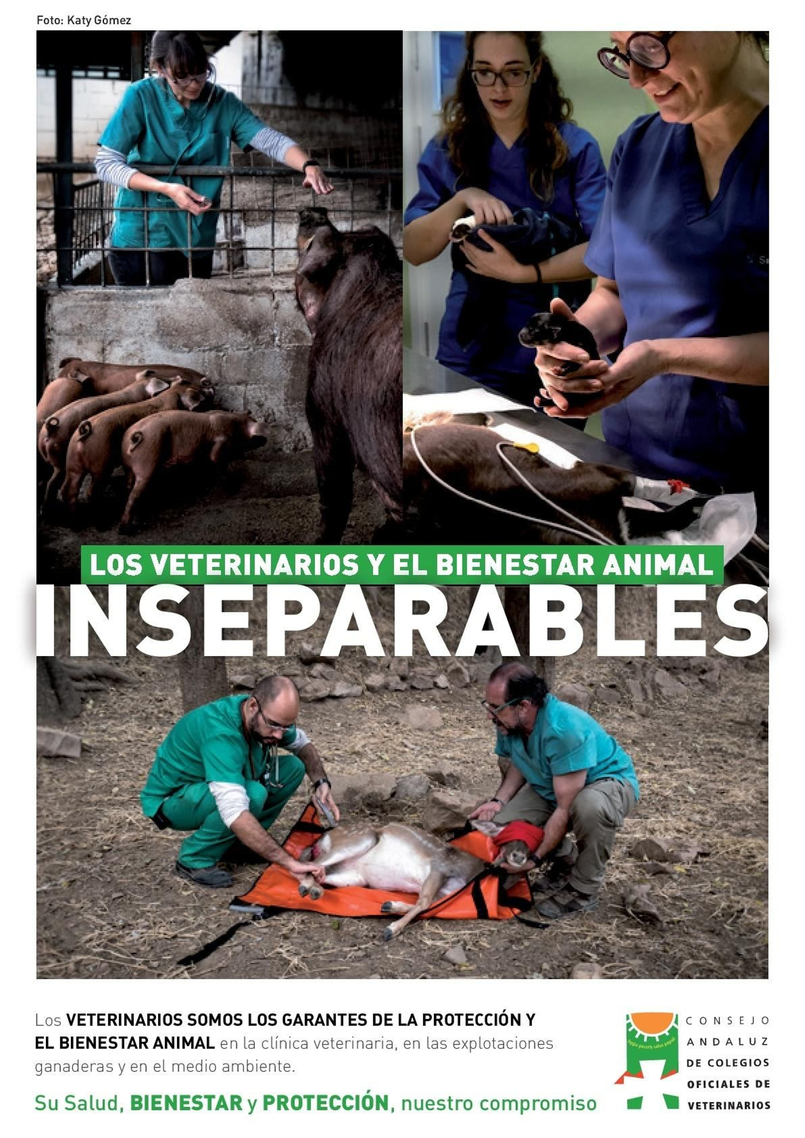 Cartel de la campaña 'Los veterinarios y el Bienestar Animal, inseparables'