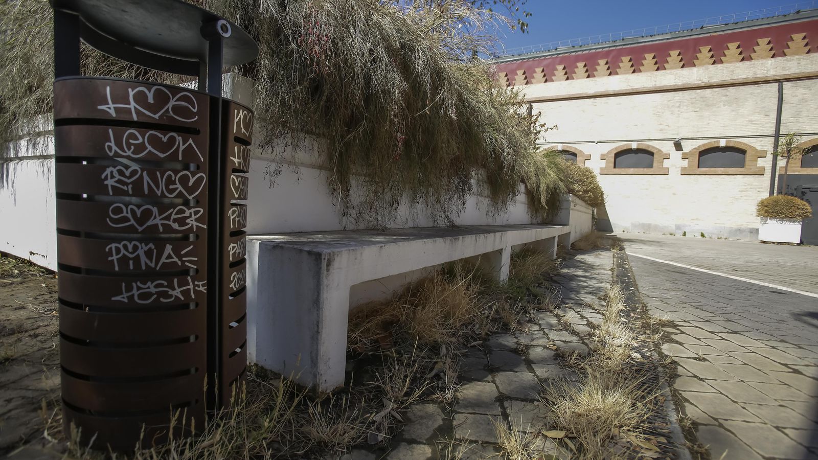 Una papelera pintada y vegetación descuidada.