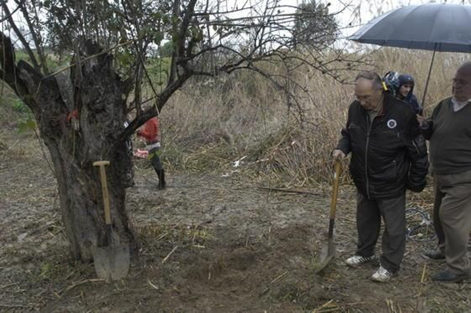 José Antonio Casanueva observa la tierra tras removerla con una pala.

Foto: Manuel Gómez