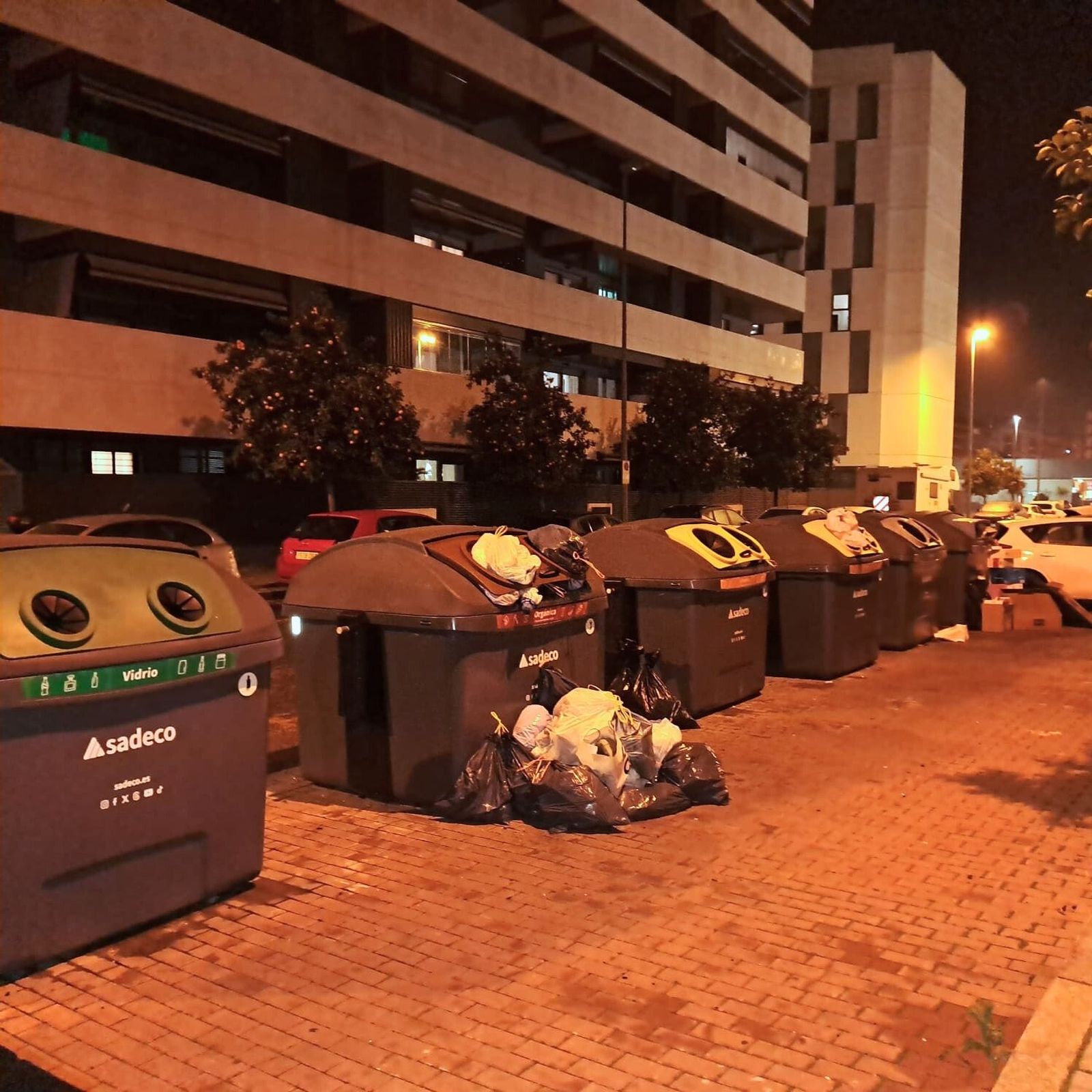 Contenedores de basura en la calle Escritora Carmen Laforet.