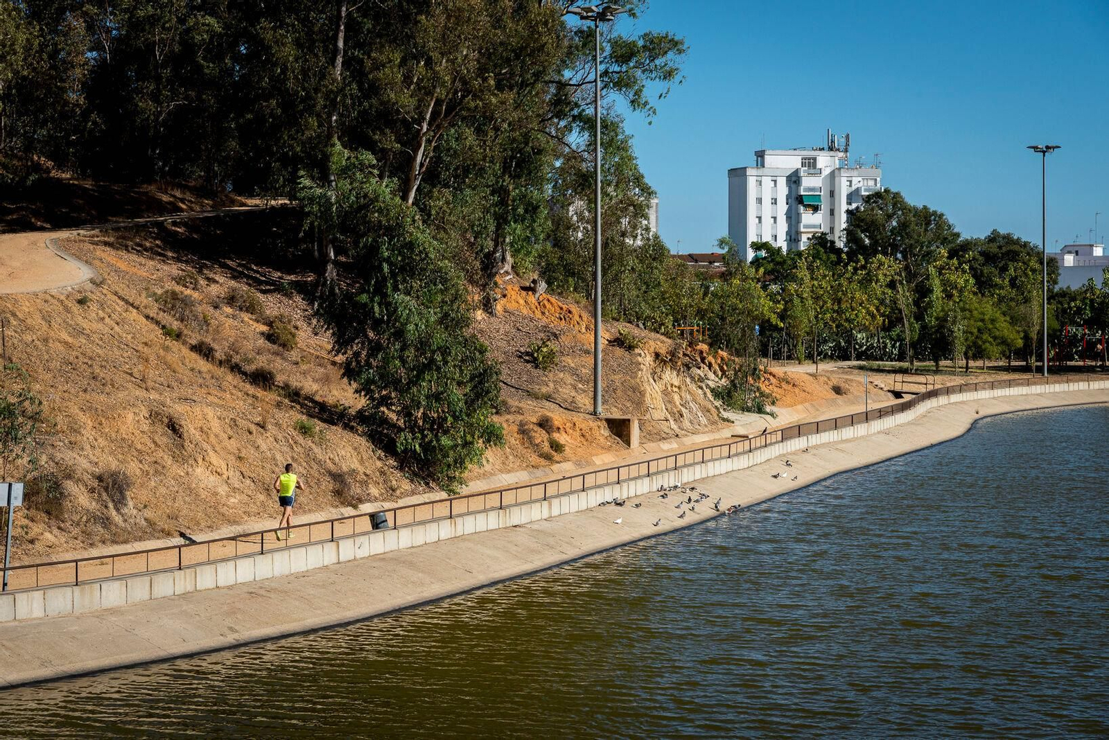 Así es el pulmón verde de Huelva, el parque urbano más grande de Andalucía