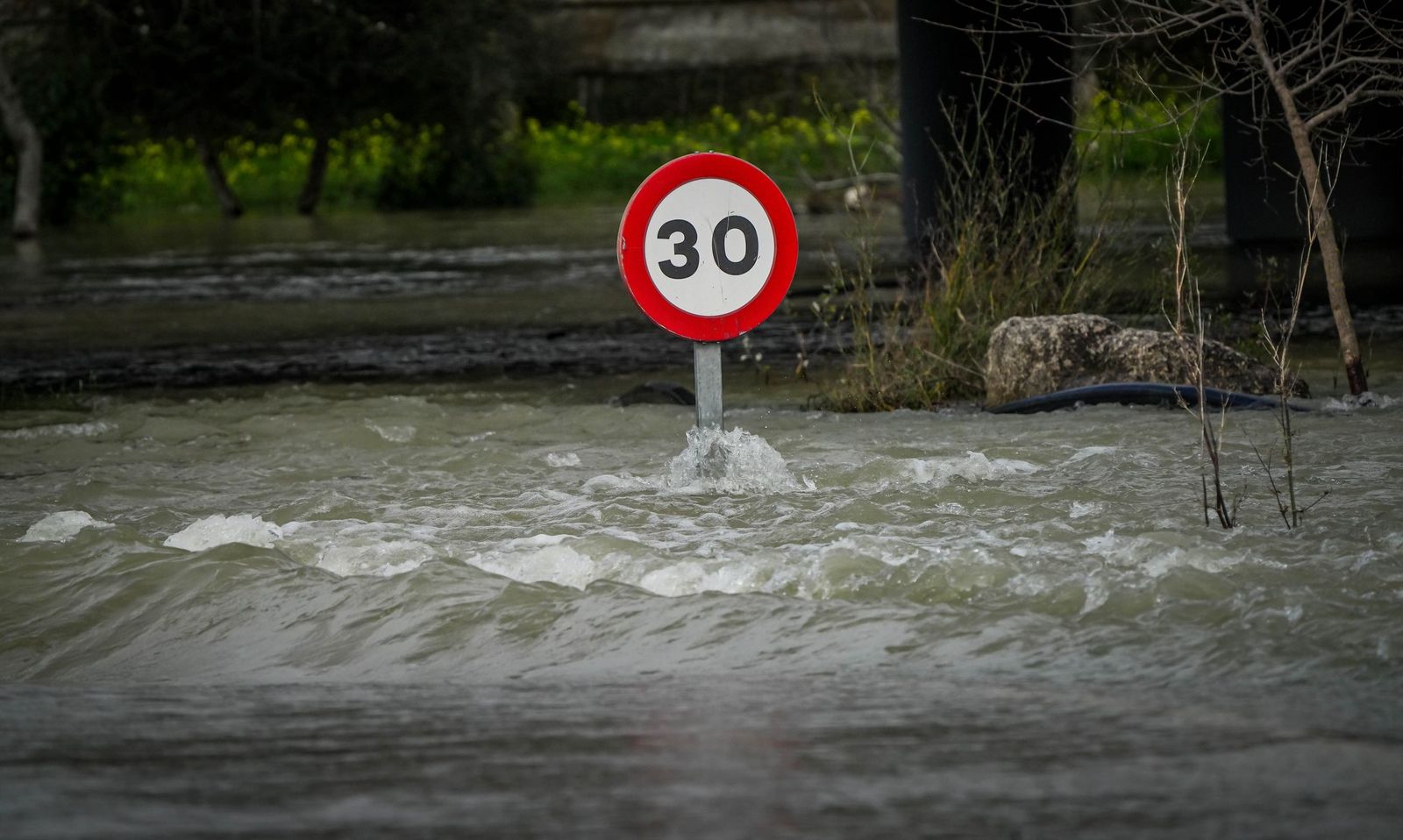 Un día tranquilo en el rio Guadalete, en imágenes