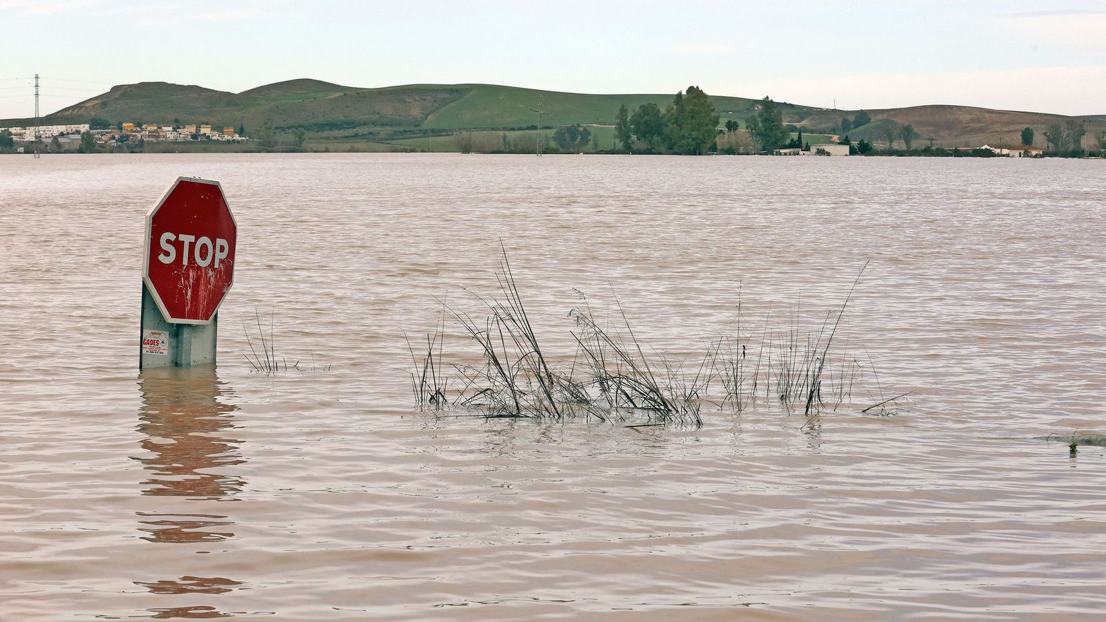 El Guadalete comienza a bajar su nivel poco a poco por la zona rural de Jerez