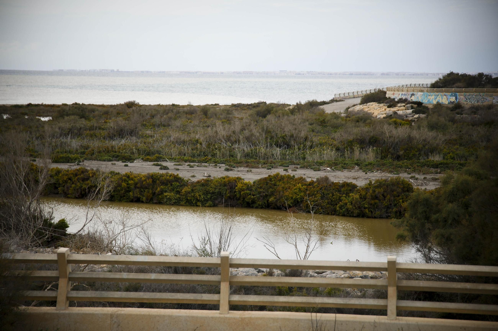 La desembocadura del río Andarax, en imágenes