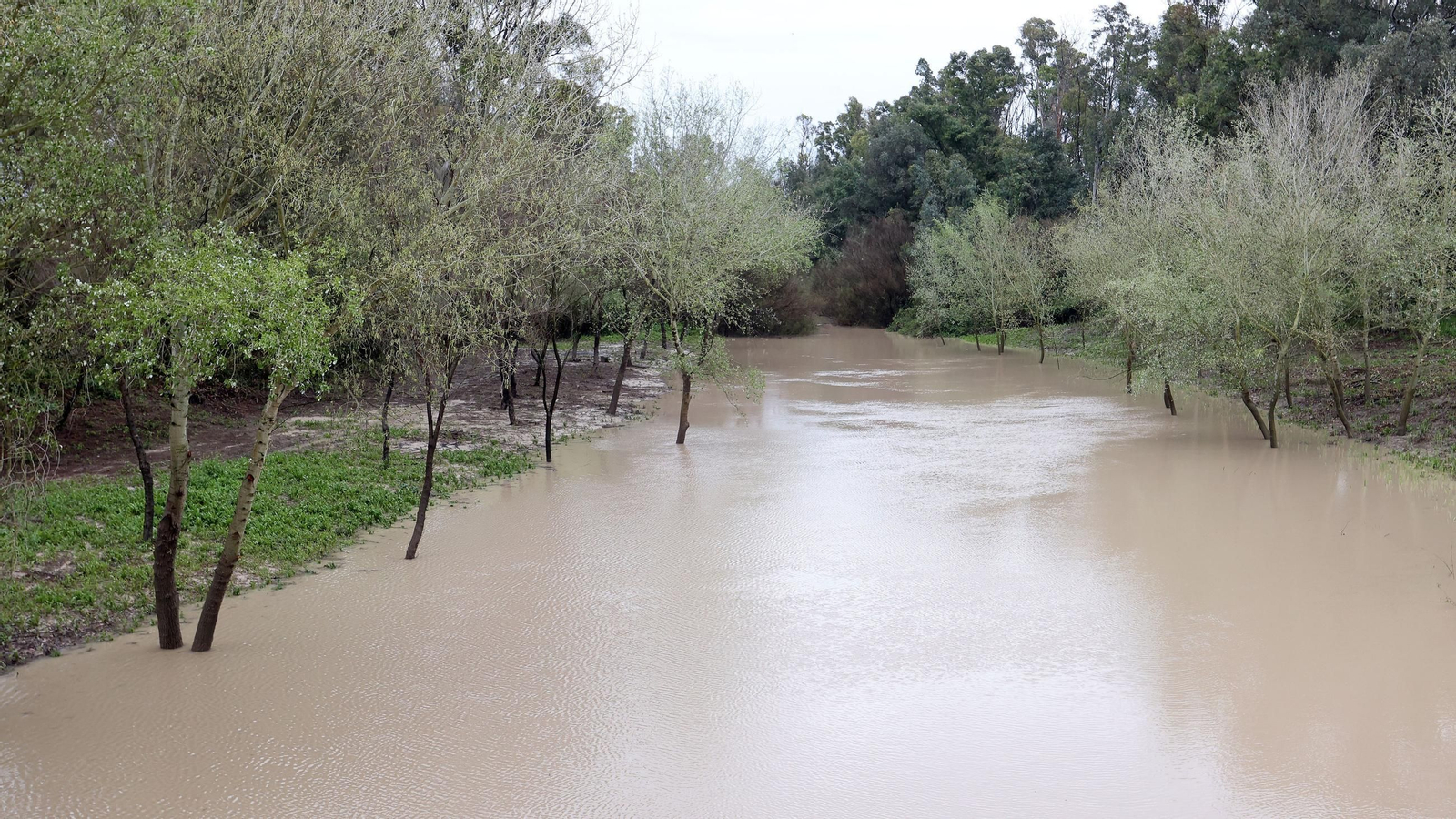 Imágenes del temporal de viento y lluvia en Jerez