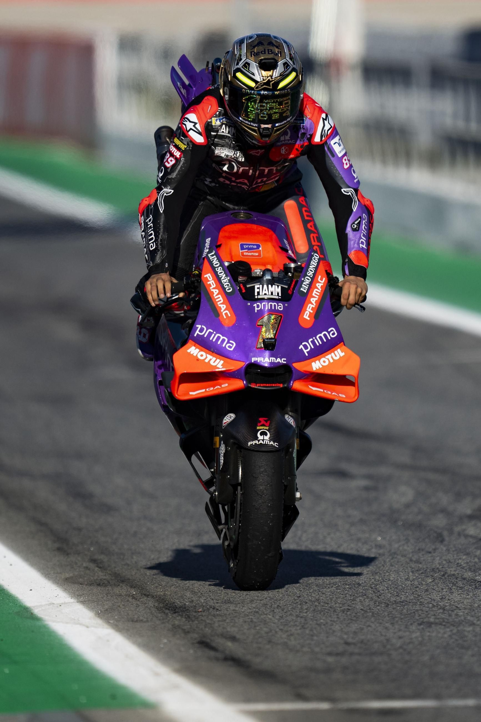 Las fotos del título mundial de Jorge Martín en MotoGP