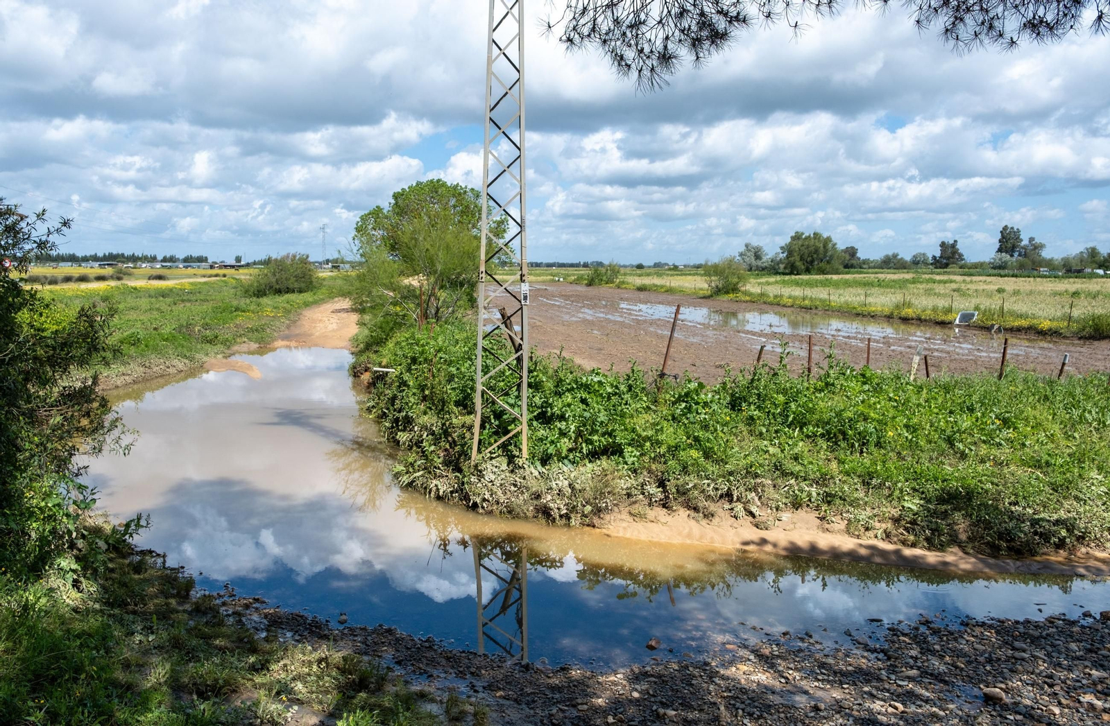 Crece nivel de inundación de la marisma de Doñana, llegando a zonas secas, en una foto de archivo.
