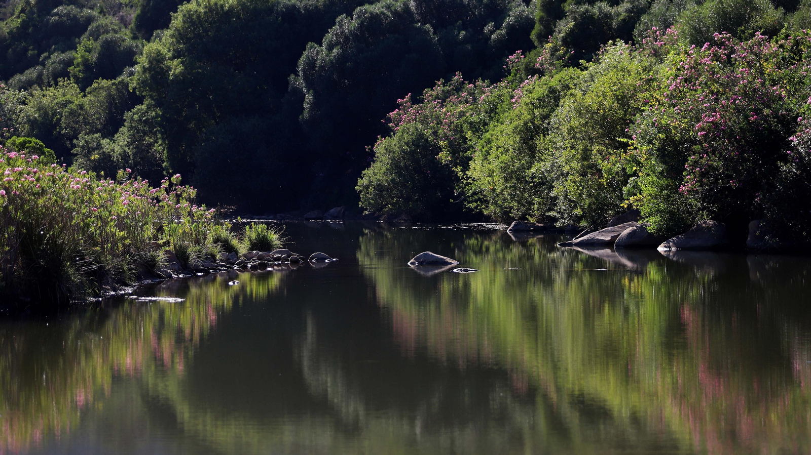 Las mejores fotos del sendero del Río Hozgarganta