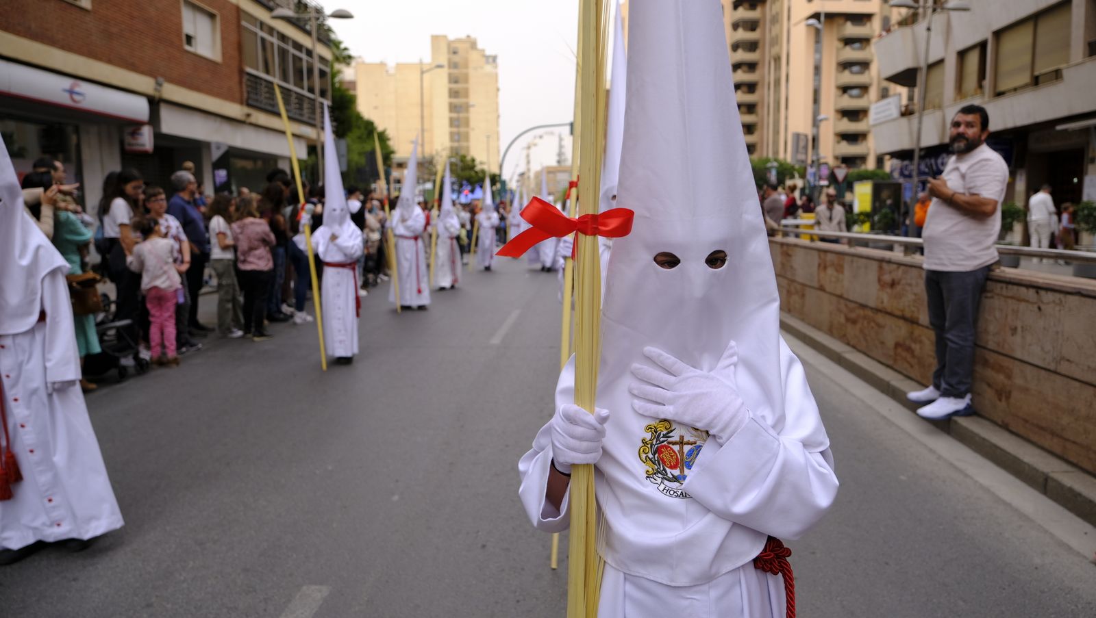 La Borriquita procesiona por las calles de Almería, en imágenes