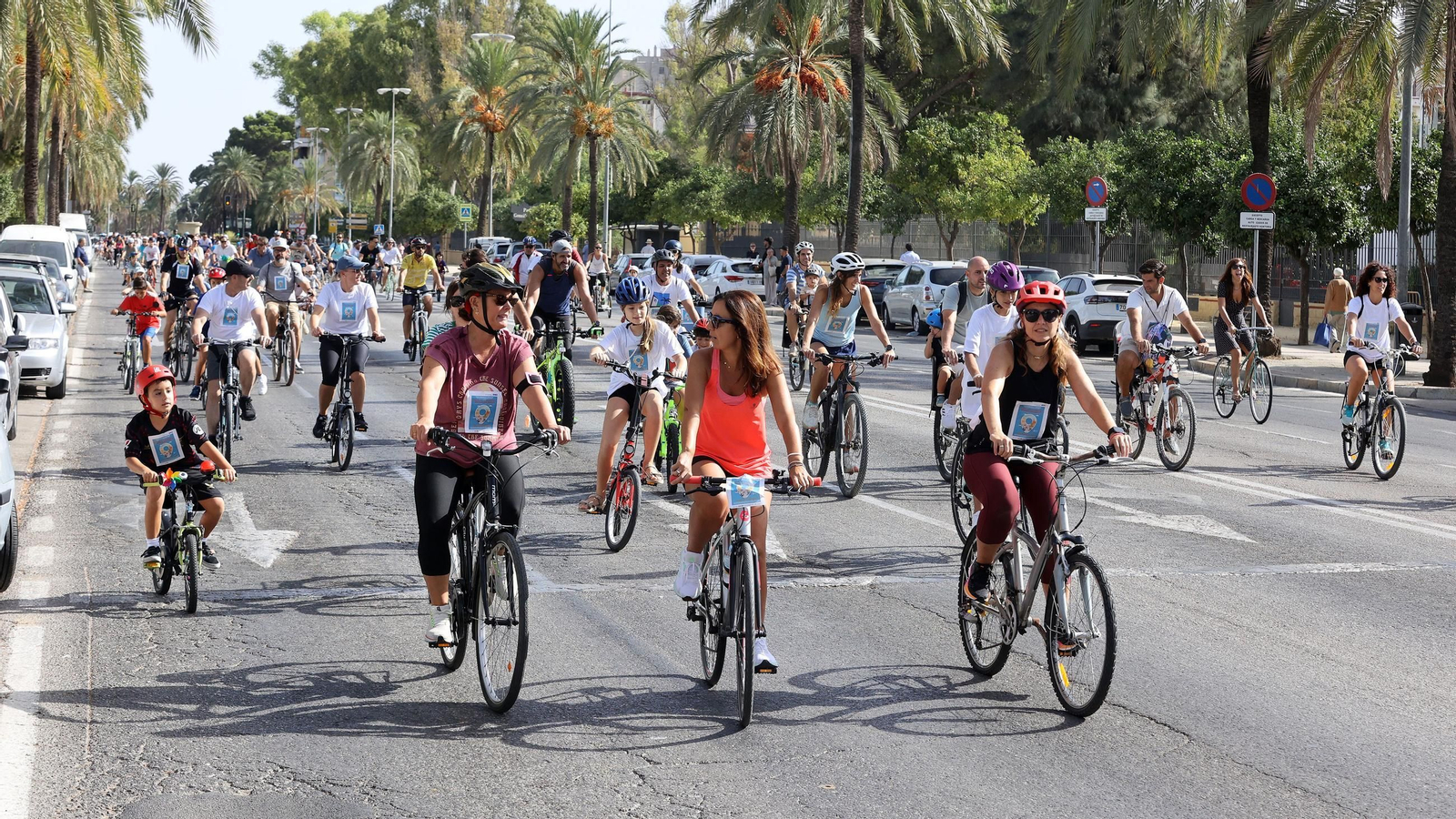 Búscate en la Bici-amistad y la Fiesta de la Movilidad en Jerez