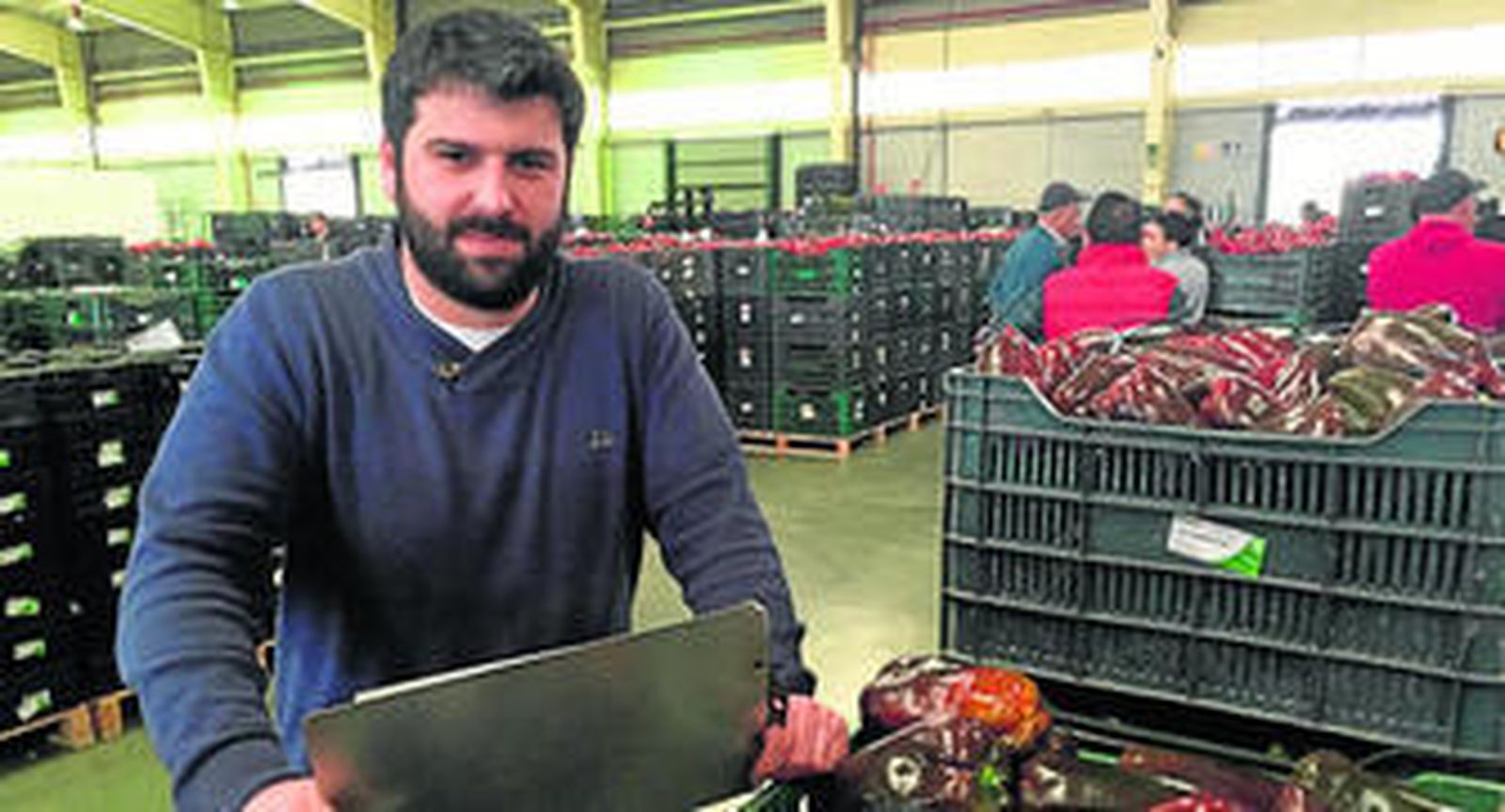 Desde 2013 ejerce como Jefe de Ventas en esta alhóndiga, que es una de las históricas en el campo almeriense.