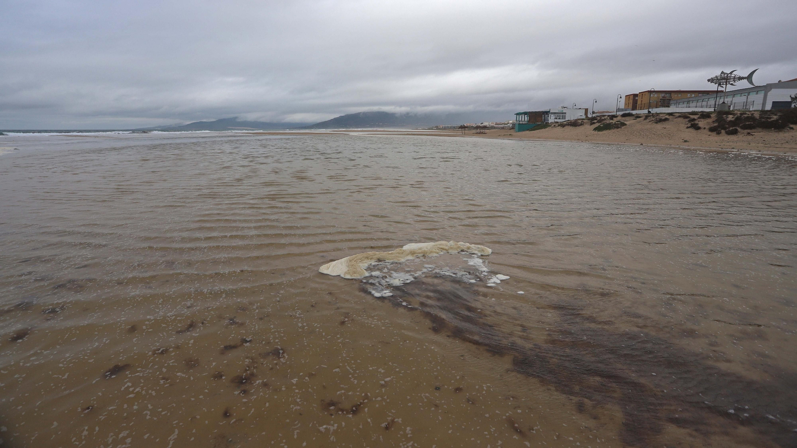Fotos de la marea alta en la playa de Los Lances
