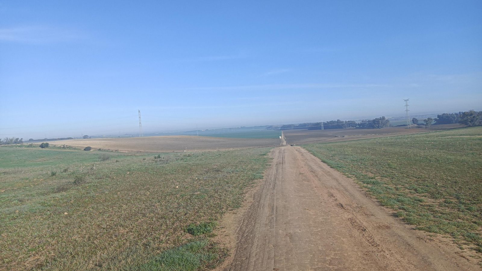 La amplia llanura que separa Utrera de Alcalá de Guadaíra.