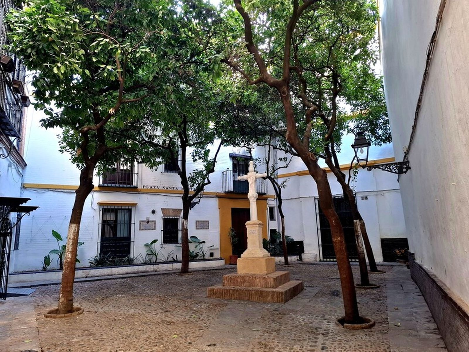 Barreduelas y naranjos