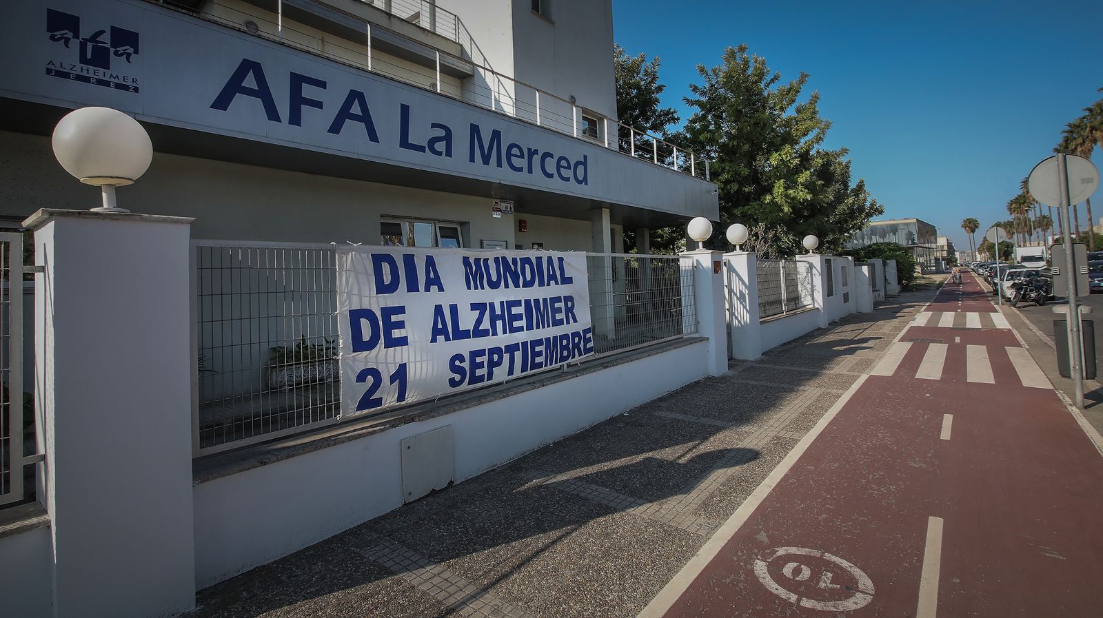 Día Mundial de Alzheimer, para que no los olvidemos