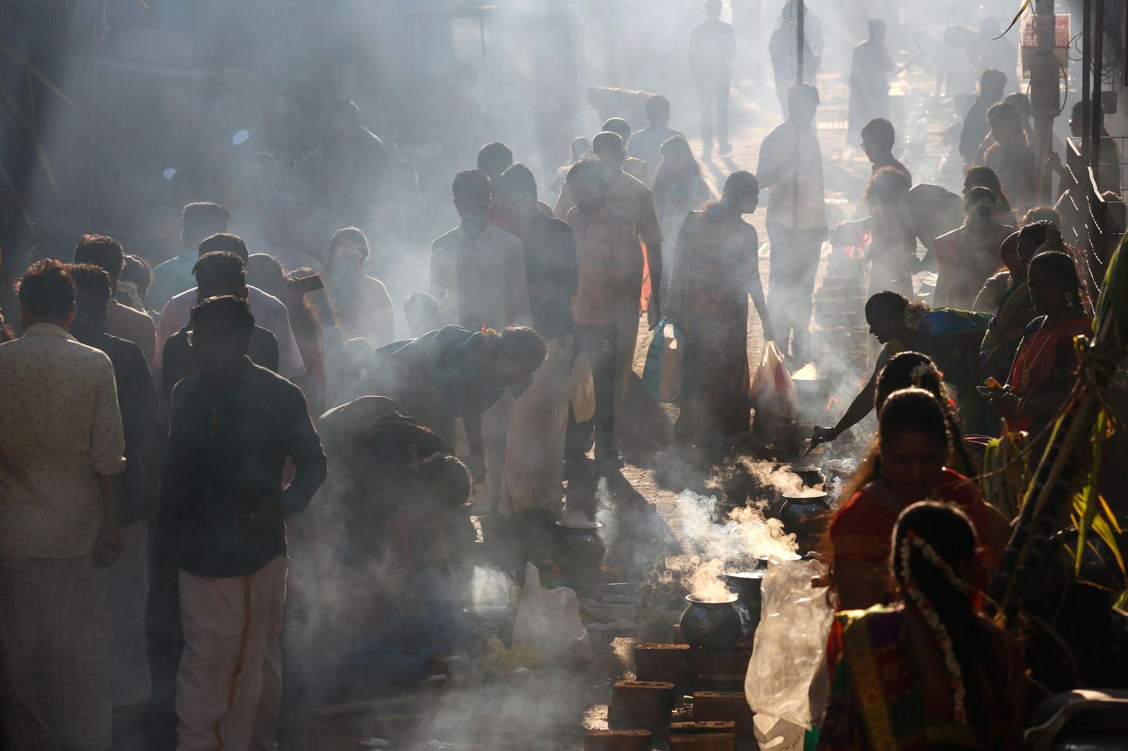 Las preciosas imágenes del Festival Thai Pongal en India