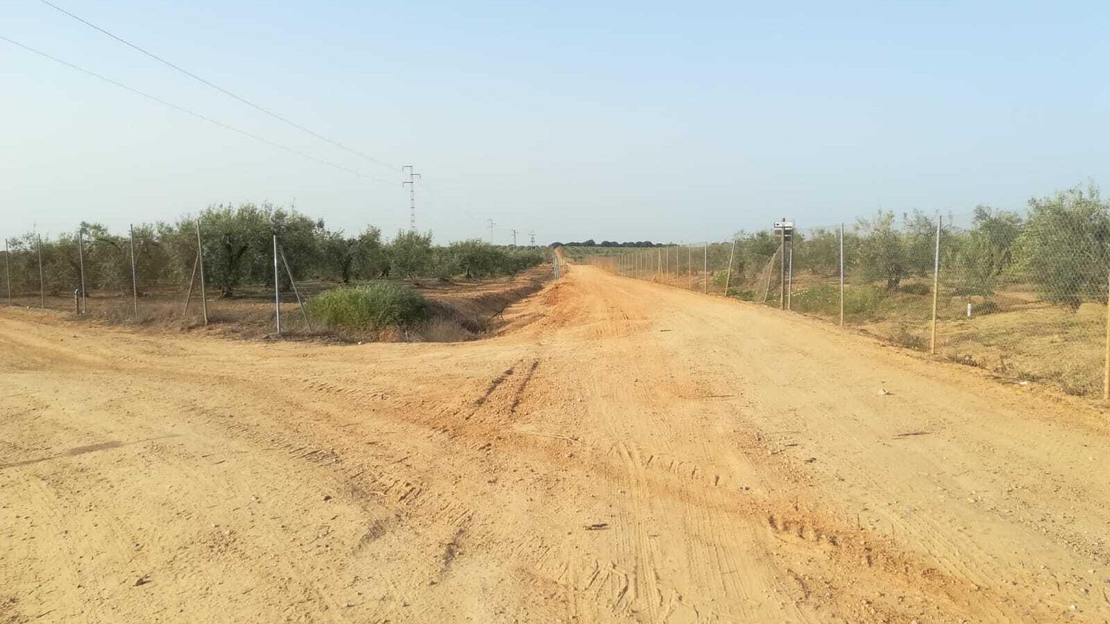 Fotos de la ruta Umbrete-Ermita de Cuatrovitas