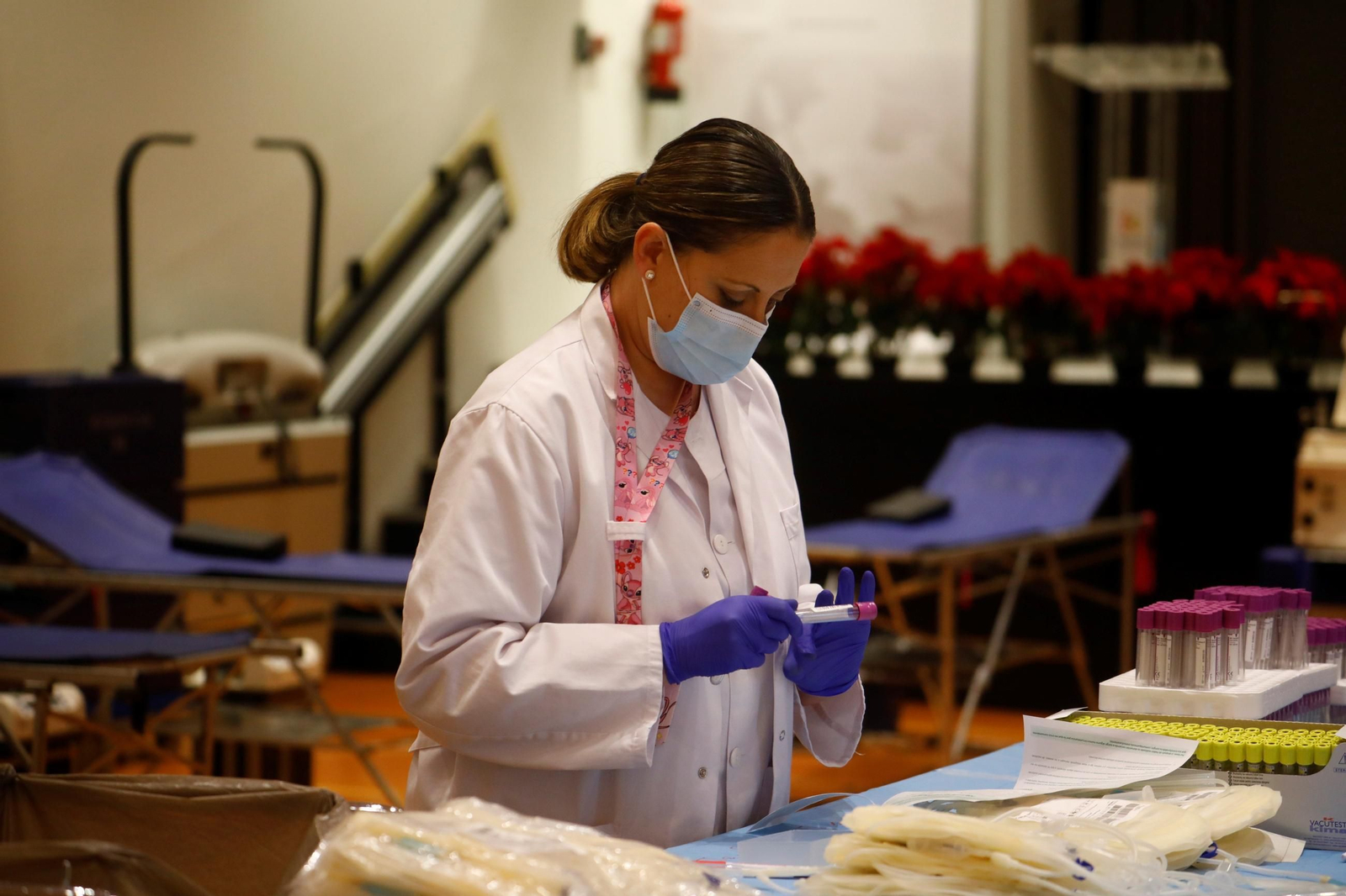 El maratón de la donación de sangre para salvar vidas por Navidad en Córdoba, en imágenes