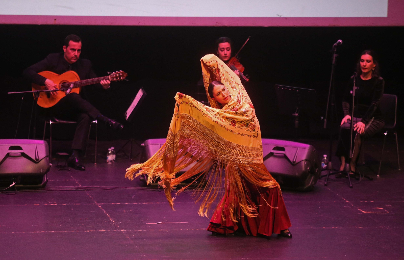 Fotos del espectáculo  'Esencia de Pasión' en La Línea